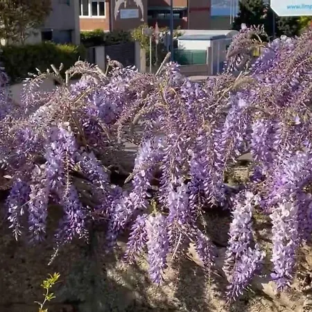 Holiday home Casa Glicinia *